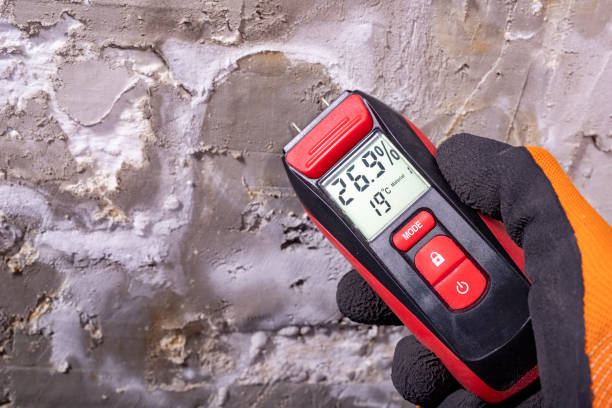 Professional Mold Remediation in Borden, IN